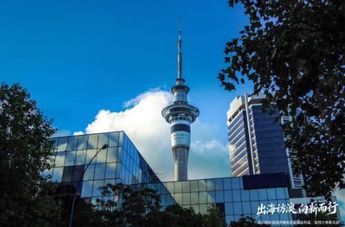 1772500374349318.png image.png